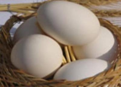 مزایای تخم مرغ های پاستوریزه