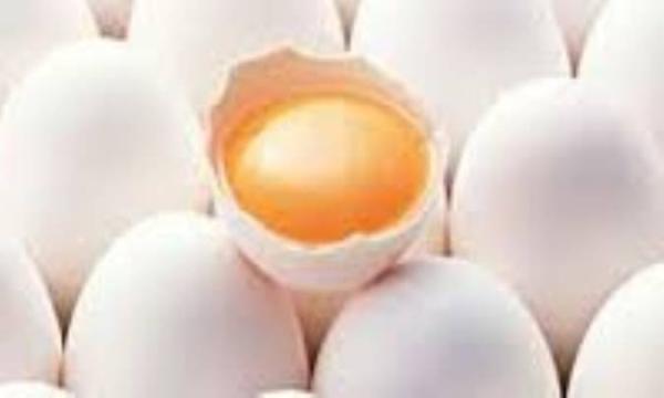 چه اندازه کالری در یک عدد تخم مرغ وجود دارد