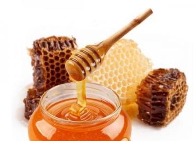نبود استاندارد اجباری برای عسل از معضلات پیش پای فروش این محصول در خراسان شمالی